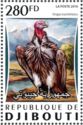 Lappet-faced Vulture (Torgos tracheliotos)